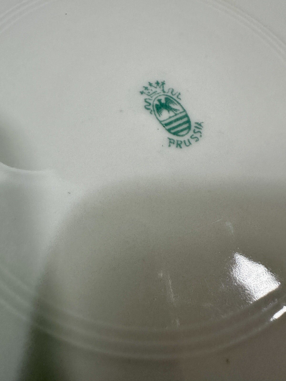 Vintage Prussia Hand Painted Roses Porcelain Serving Plate/Platter - 10" - Image 3