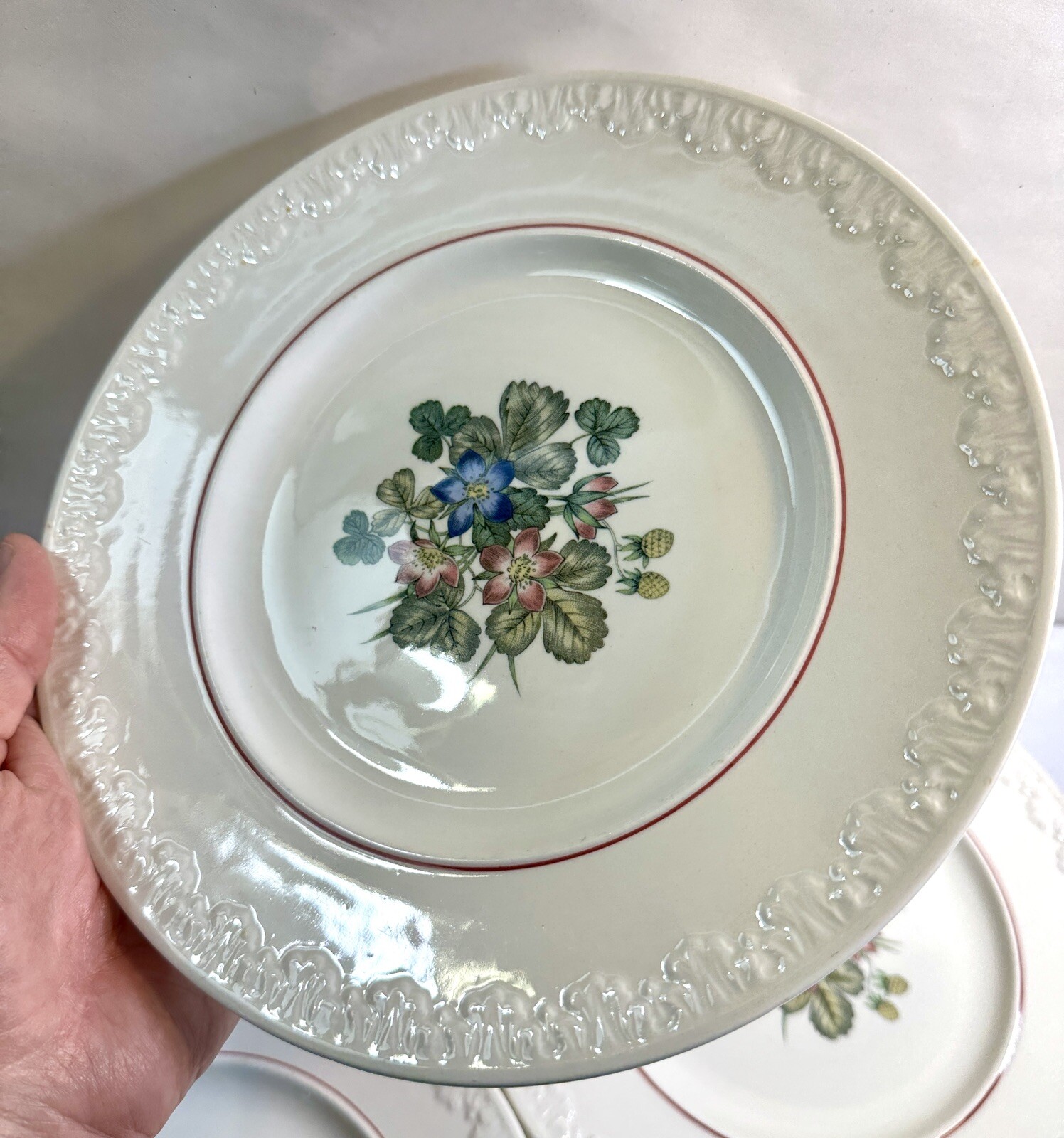 6 (Six) Wedgwood PEMBROKE Luncheon Plates Corinthian T428 -- 9 5/8" - Image 1