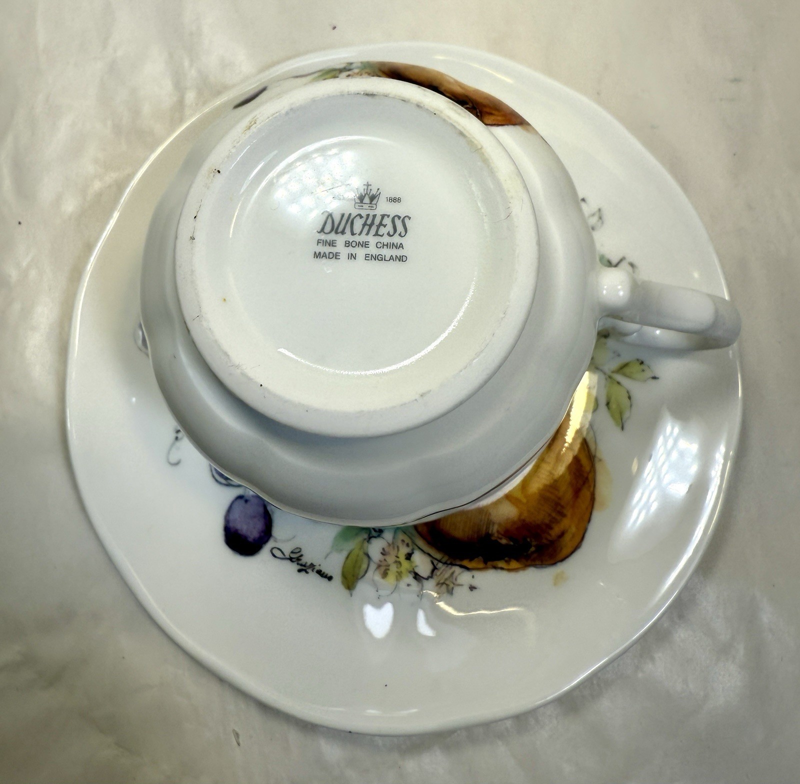 Duchess Bone China Pear / Fruit / Berry Tea Cup and Saucer - Mint, Immaculate - Image 4