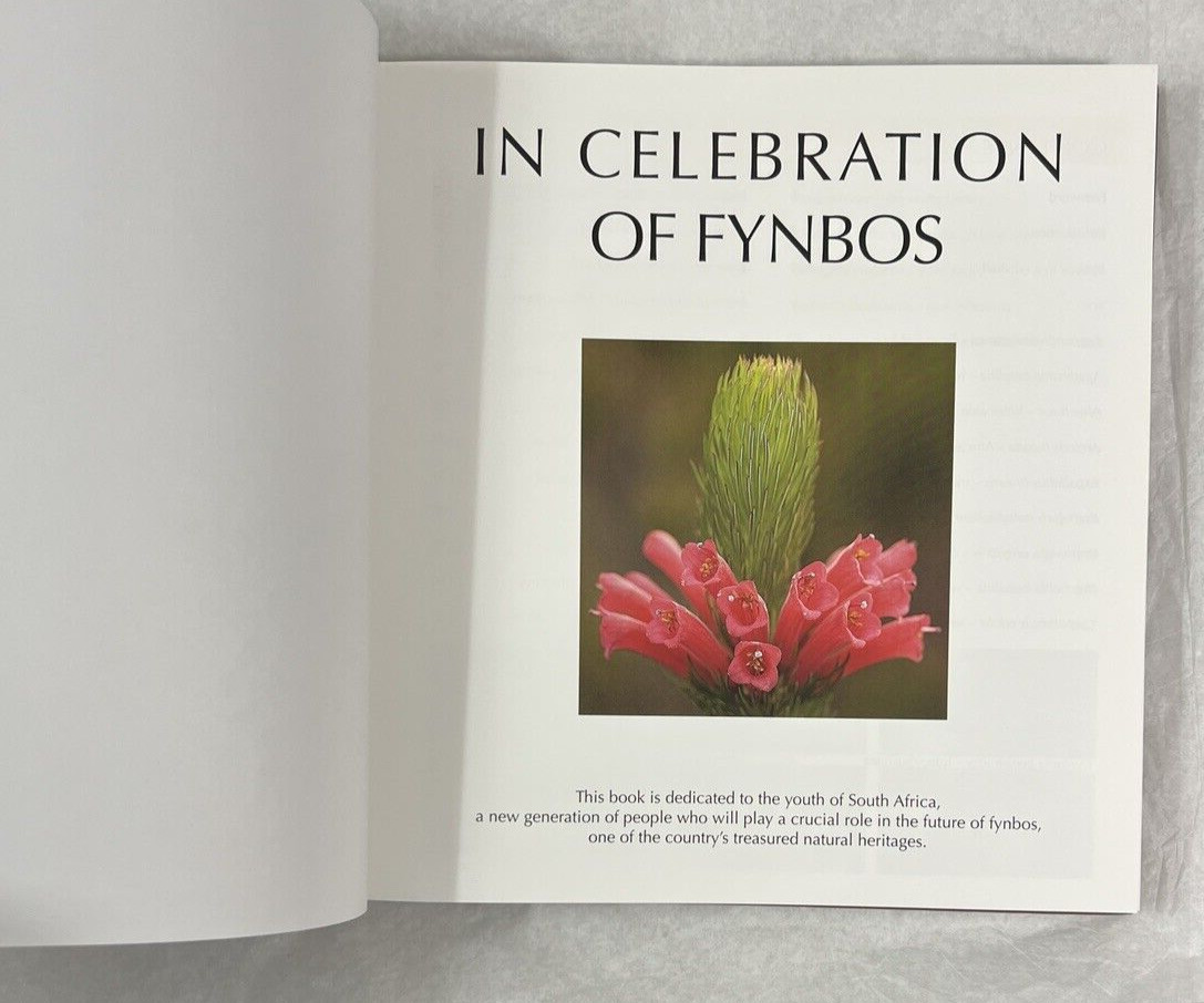 In Celebration of Fynbos - Petra Vandecasteele, Paul Godard - Hardcover - Image 1