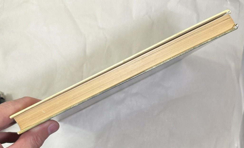 Journal de l'impressionisme [éd française] Maria & Godfrey Blunden - SKIRA 1973 - Image 9