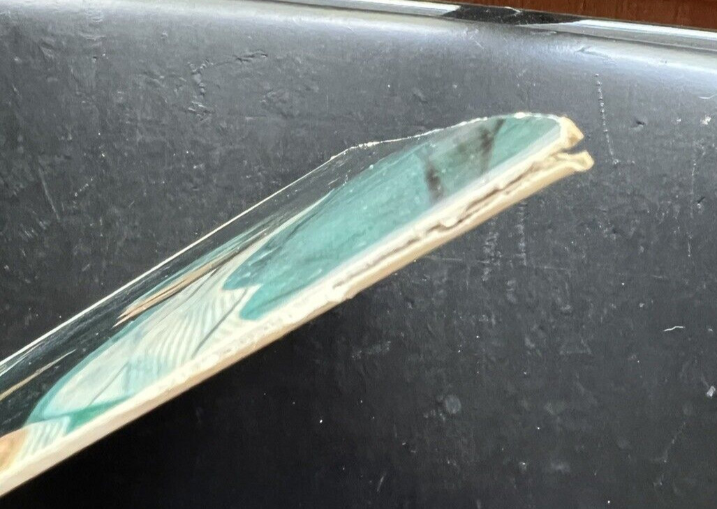 Clara Haskil: Chopin Concerto No. 2 - Igor Markevich, Philips 900-034 - Image 5