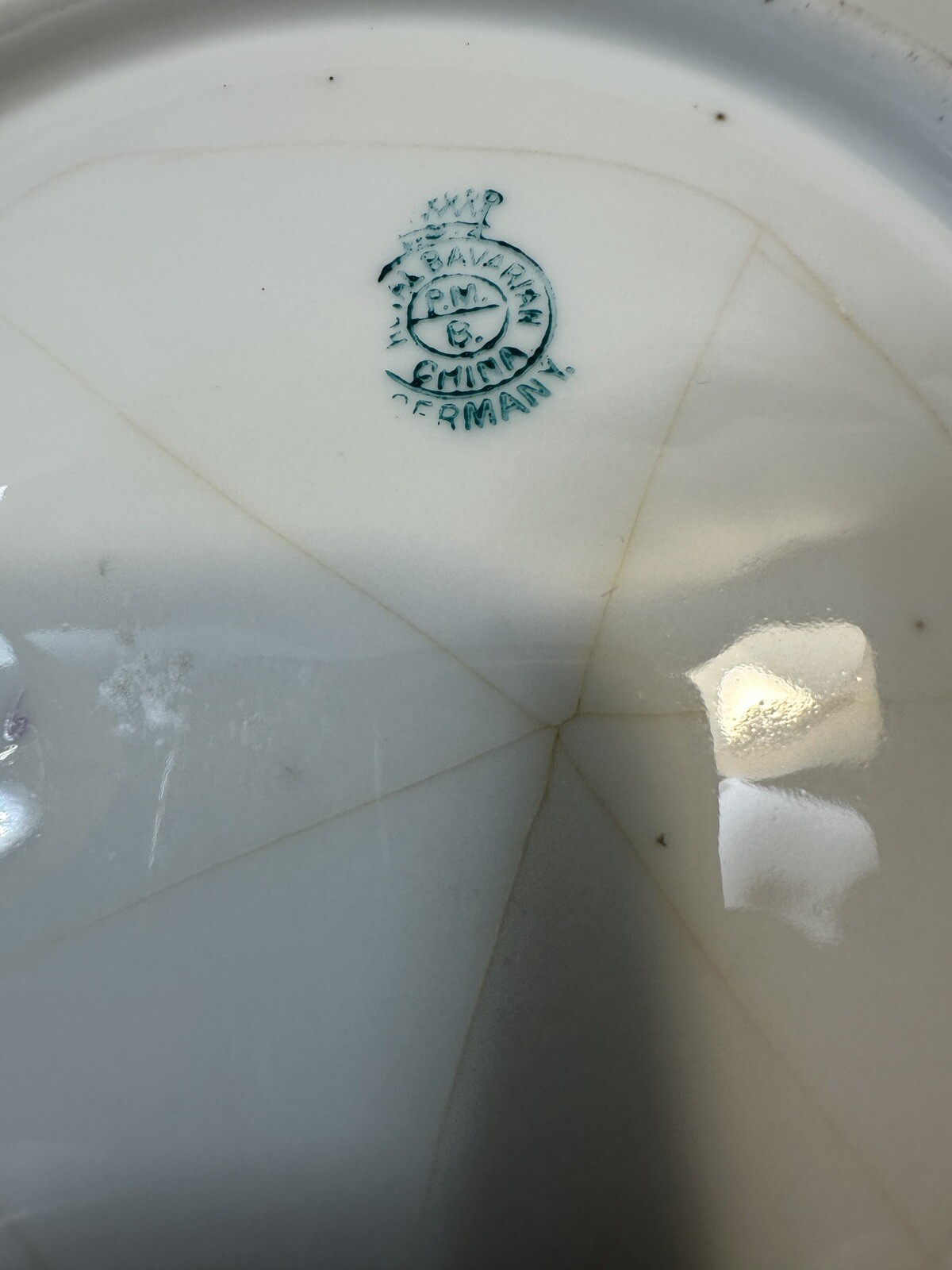 Royal Bavarian China P.M.B Germany Cobalt Plate - Manufacturing Defect - Image 4