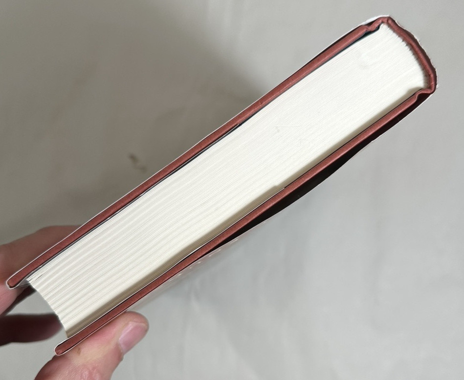 The Dragon of Trelian 2009 HC/DJ 1st Edition - Immaculate New - Michelle Knudsen - Image 3