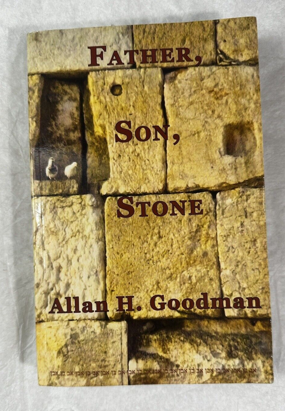 Father, Son, Stone - Allan H. Goodman