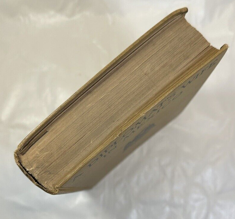 A Diplomat's Wife in Mexico - Edith O'Shaughnessy, 1916 - Image 8