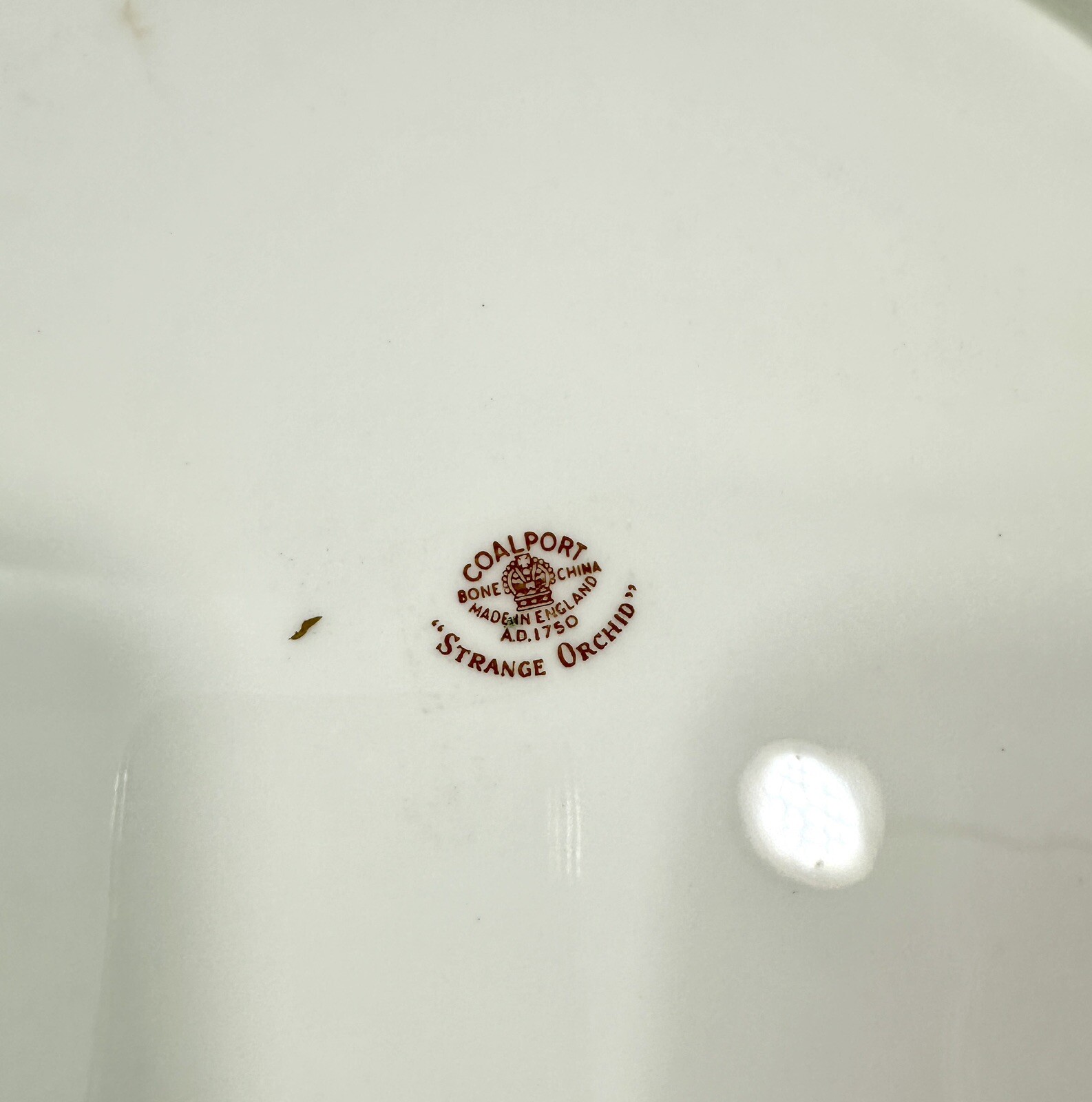 Coalport Strange Orchid Chop Plate / Platter - 12"  UK Made - Image 4