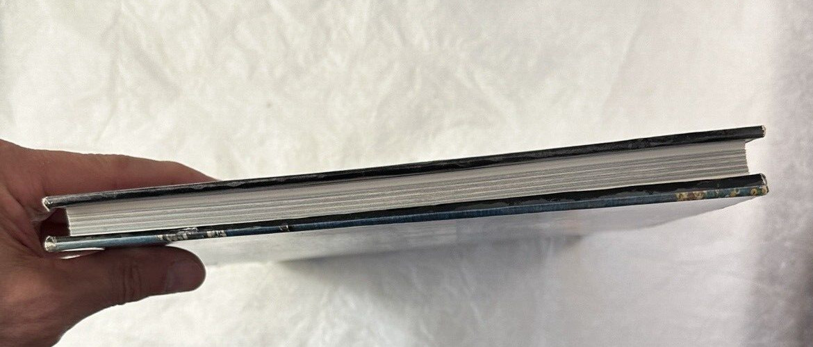 Punta del Este, Uruguay - Miguel Carbajal, Xavier Richer - Editions Delroisse - Image 9