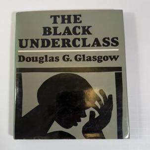 The Black Underclass: Poverty, Unemployment, and Entrapment of Ghetto Youth HCDJ